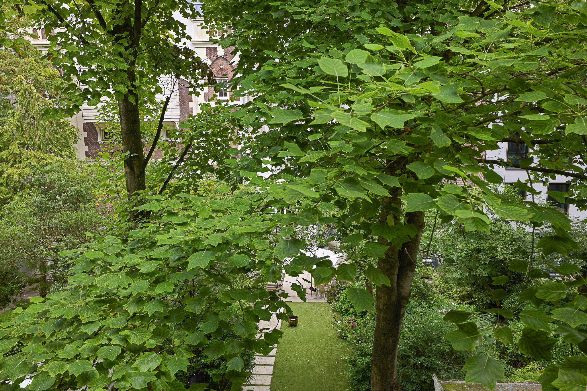 Kerkstraat 113 2 AMSTERDAM